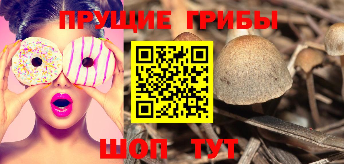 Псилоцибиновые грибы ЛСД  Вход с VPN  Борисоглебск 