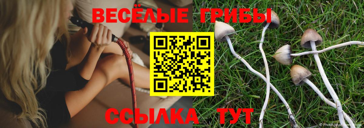 Псилоцибиновые грибы Psilocybine cubensis Борисоглебск